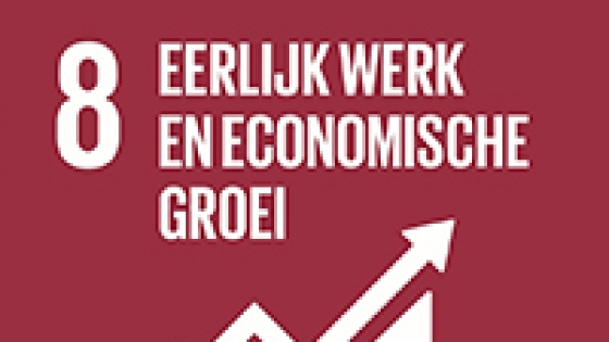 SDG 08 Eerlijk werk en economische groei