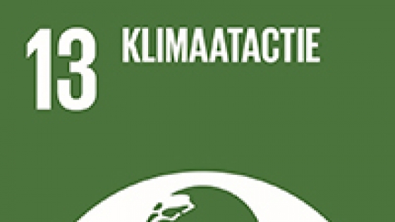 SDG 13 Klimaatactie