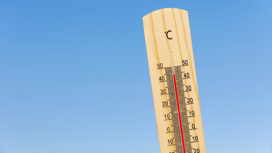 thermometer - warme dagen 